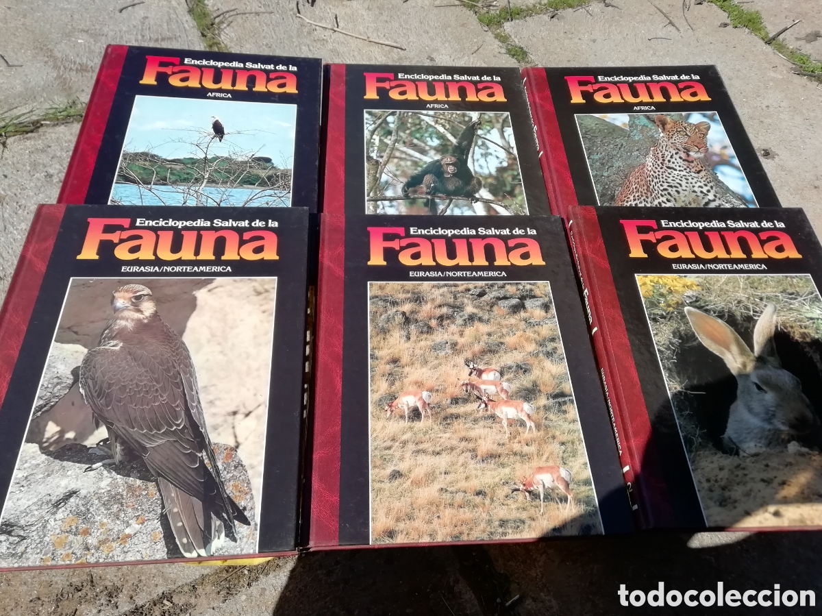 Libros de segunda mano: FAUNA, Felix Rodriguez de la fuente. Completa - Foto 2
