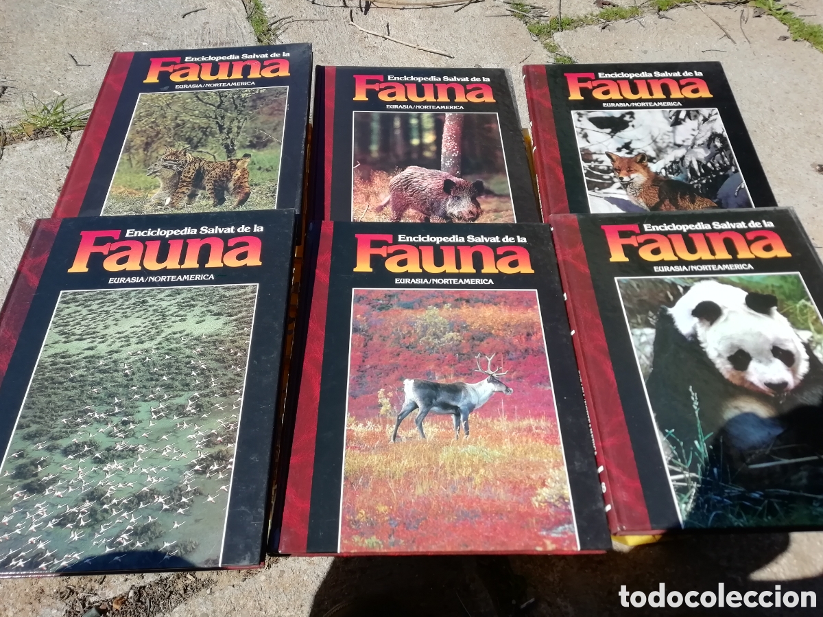Libros de segunda mano: FAUNA, Felix Rodriguez de la fuente. Completa - Foto 3