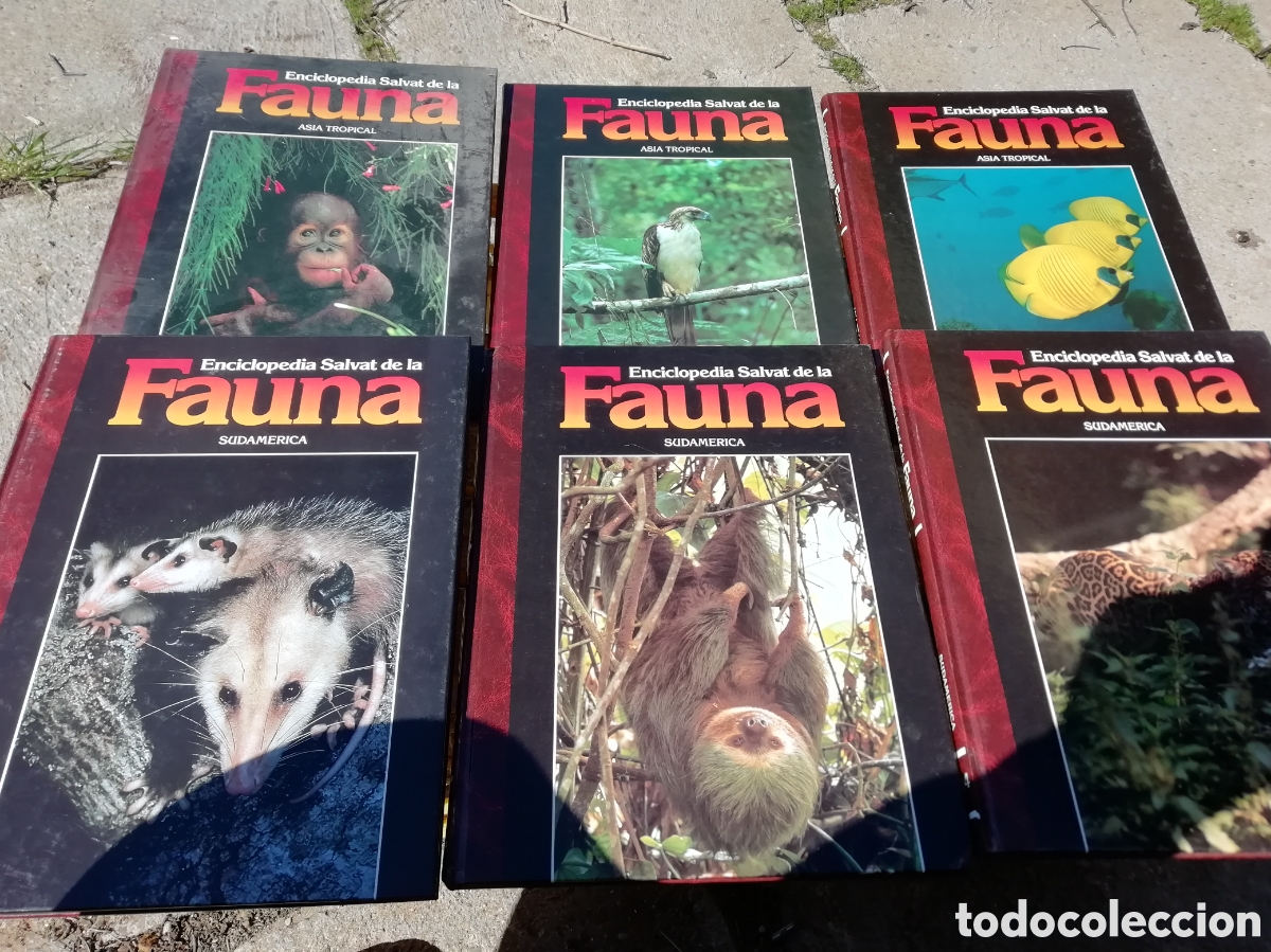 Libros de segunda mano: FAUNA, Felix Rodriguez de la fuente. Completa - Foto 4
