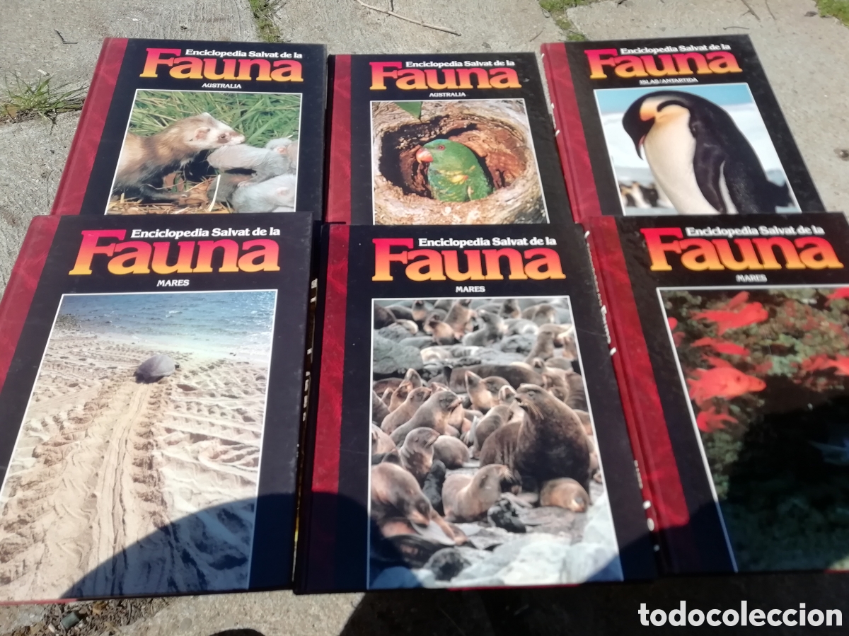 Libros de segunda mano: FAUNA, Felix Rodriguez de la fuente. Completa - Foto 5