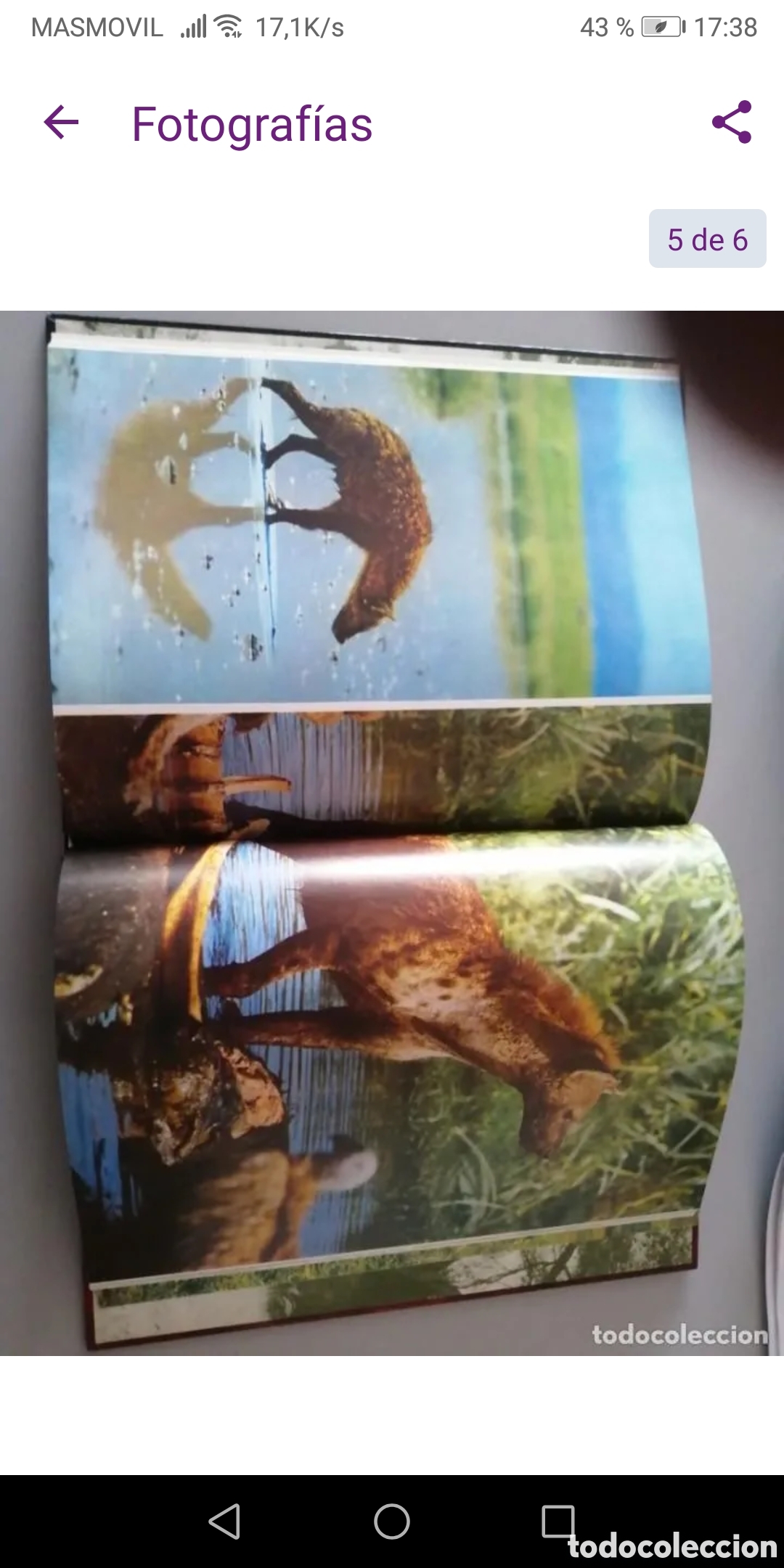 Libros de segunda mano: FAUNA, Felix Rodriguez de la fuente. Completa - Foto 7