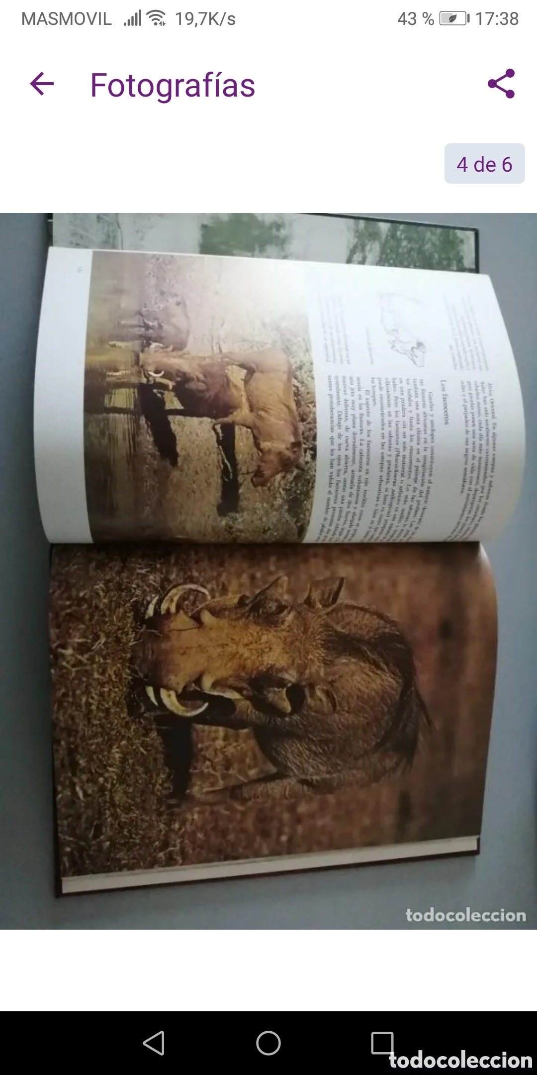 Libros de segunda mano: FAUNA, Felix Rodriguez de la fuente. Completa - Foto 8