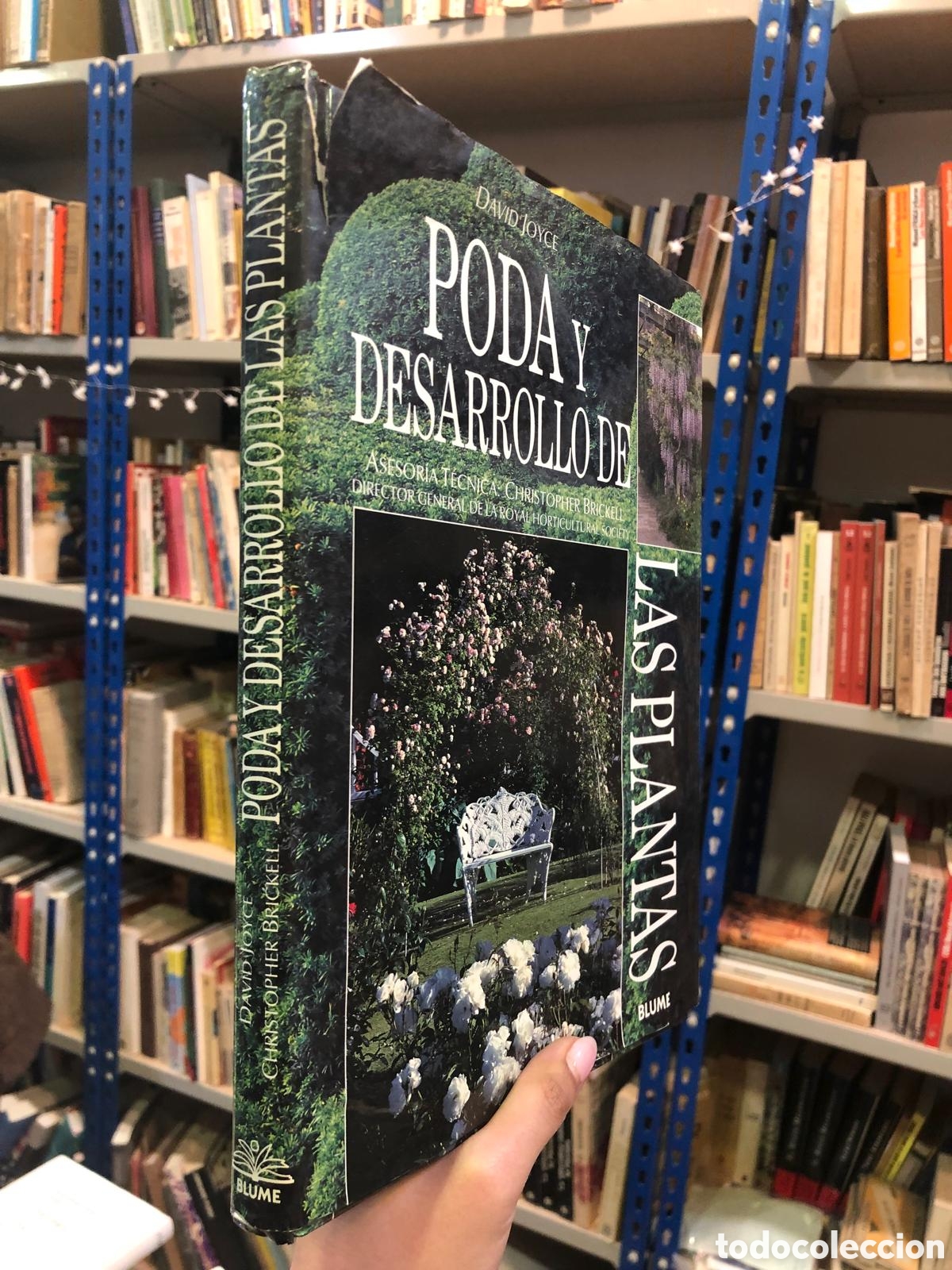 Libros de segunda mano: Poda y desarrollo de las plantas - David Joyce - Foto 1