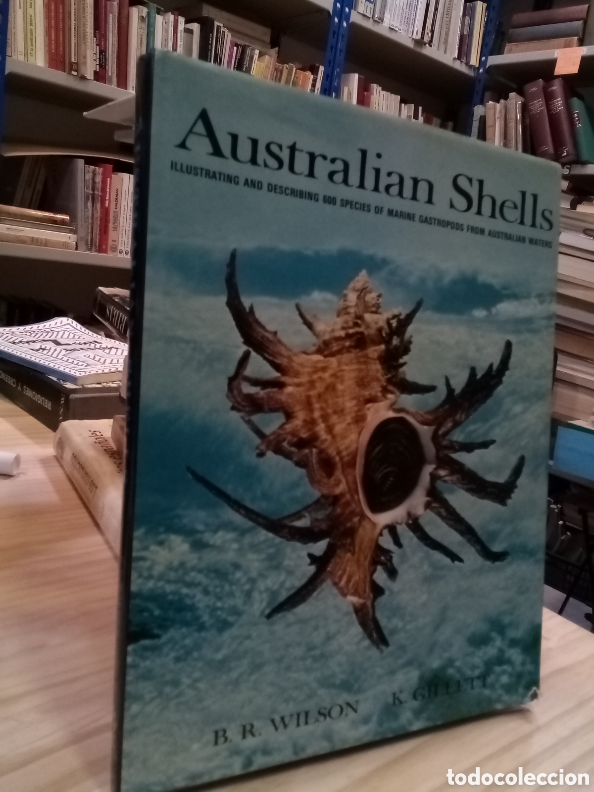 Libros de segunda mano: Australian Shells - B.R. Wilson y K. Gillett - Foto 1