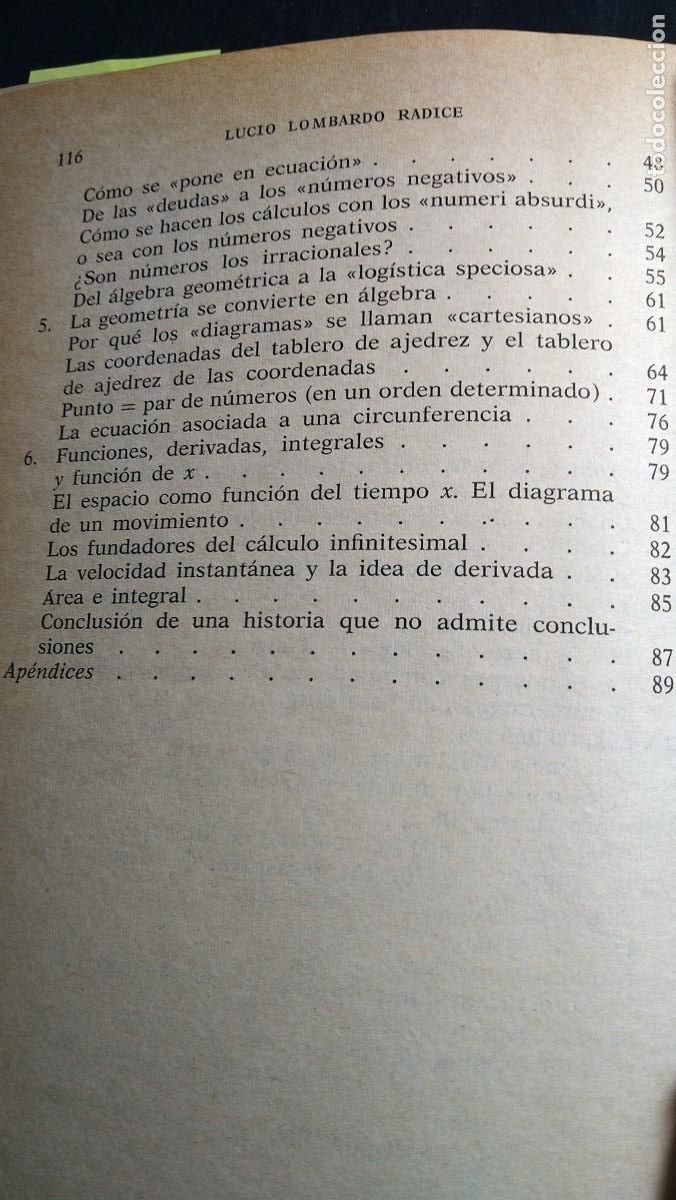 Libros de segunda mano de ciencias: LA MATEM&Aacute;TICA DE PITAGORAS A NEWTON - LUCIO LOMBRADO RADICE - Foto 4