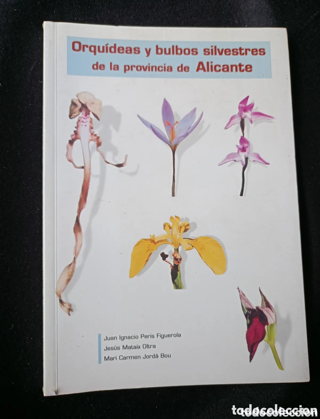 Libros de segunda mano: Orqu&iacute;deas y bulbos silvestres de la provincia de Alicante