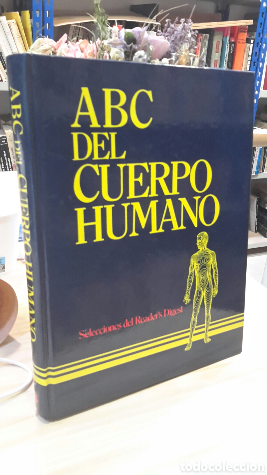 Libros de segunda mano: ABC del cuerpo humano - Foto 1