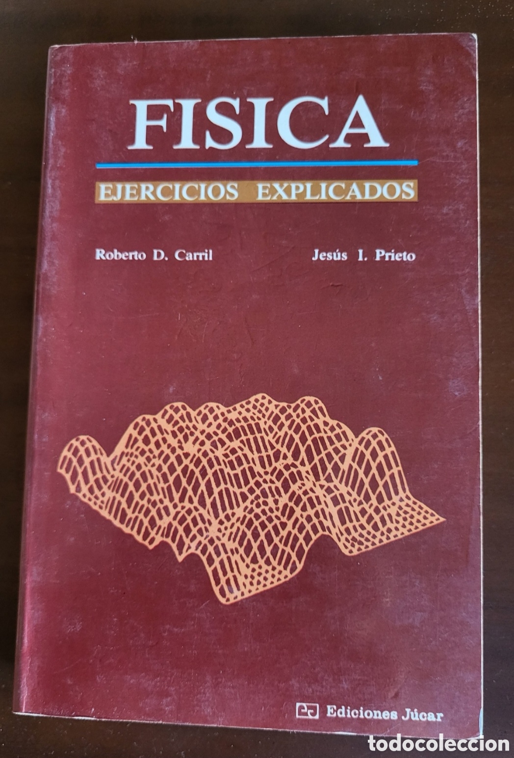 Libros de segunda mano de ciencias: FISICA Ejercicios explicados/Roberto D Carril-Jesus I Prieto - Foto 1