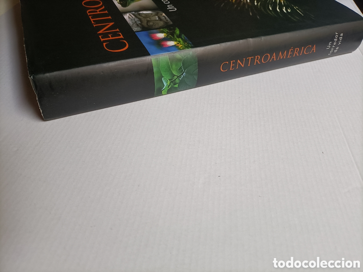Libros de segunda mano: Centroam&eacute;rica. Un corredor de vida - Foto 3