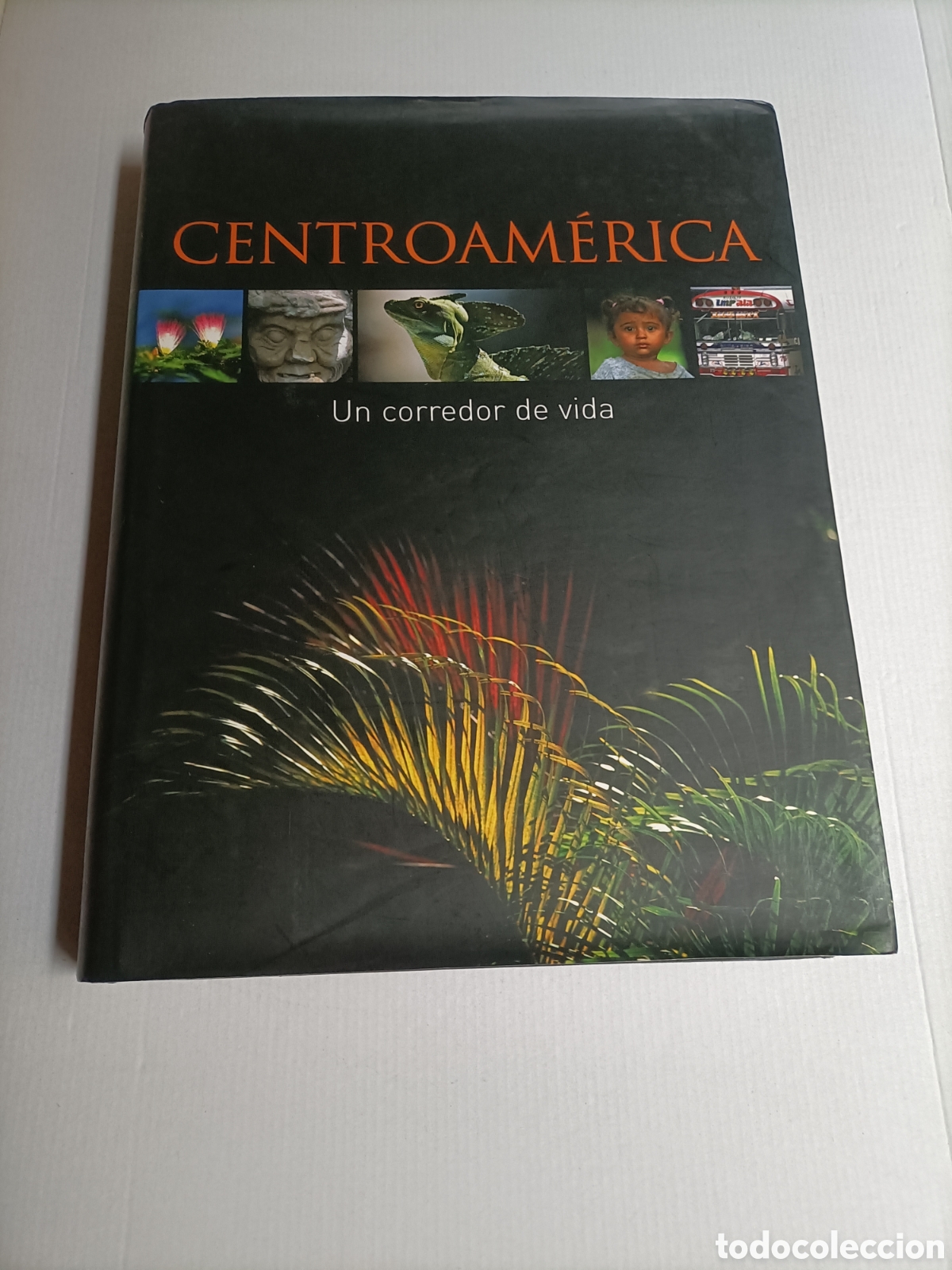 Libros de segunda mano: Centroam&eacute;rica. Un corredor de vida