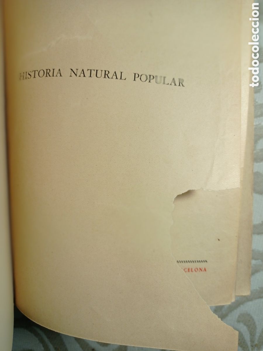 Libros de segunda mano: CELSO AR&Eacute;VALO. HISTORIA NATURAL. ED. SOPENA. 1947. - Foto 3