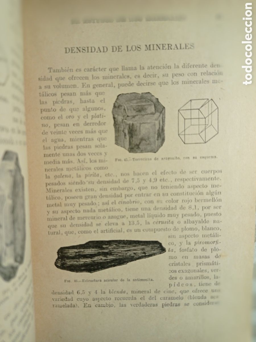 Libros de segunda mano: CELSO AR&Eacute;VALO. HISTORIA NATURAL. ED. SOPENA. 1947. - Foto 4