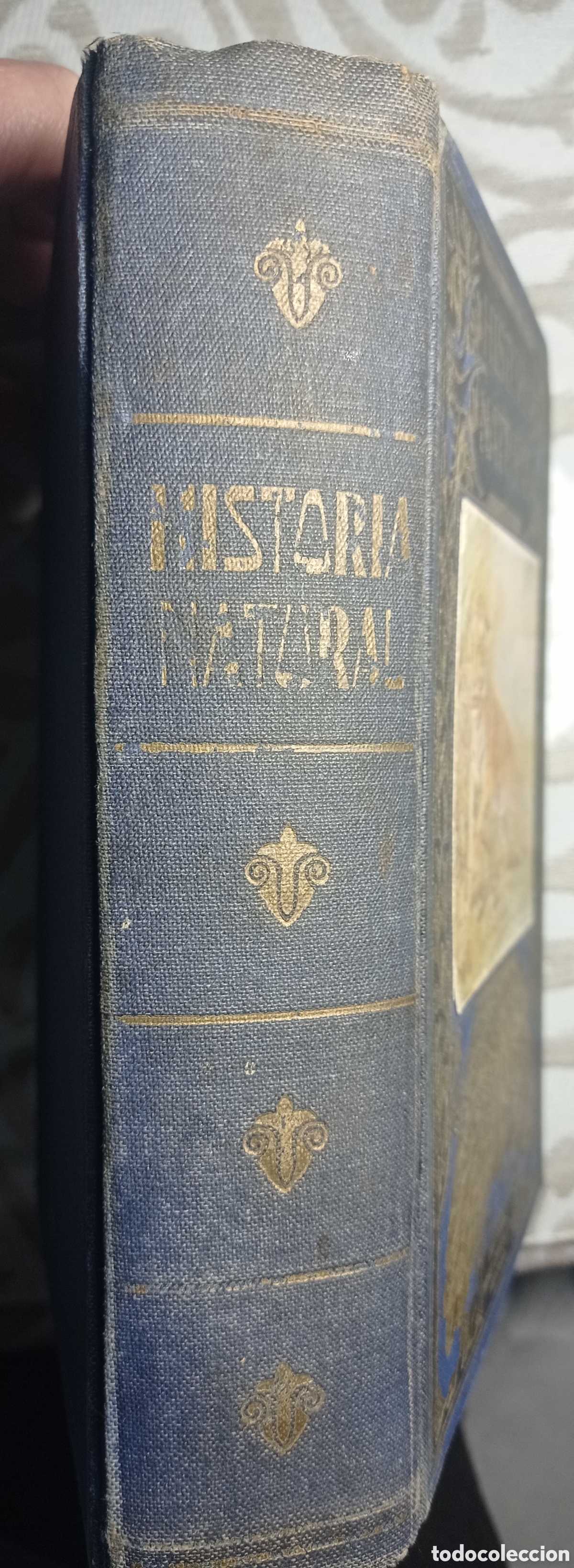 Libros de segunda mano: CELSO AR&Eacute;VALO. HISTORIA NATURAL. ED. SOPENA. 1947. - Foto 9