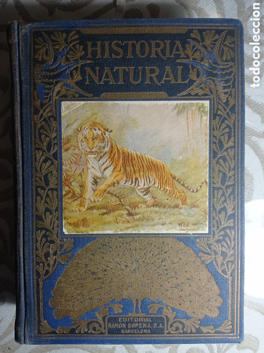 Libros de segunda mano: CELSO AR&Eacute;VALO. HISTORIA NATURAL. ED. SOPENA. 1947. - Foto 1