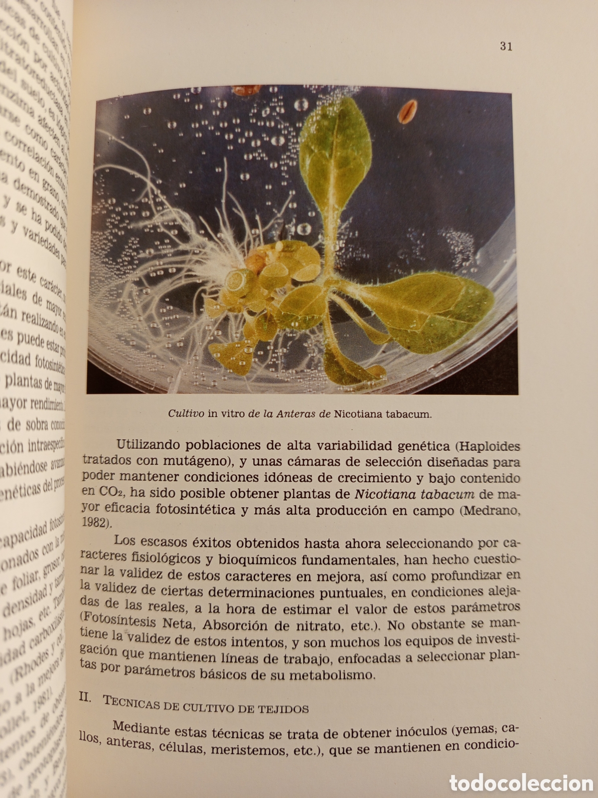 Libros de segunda mano: ESTUDIS BALEARICS N&deg; 13 (DOSSIER CENTENARI MENDEL) - Foto 9