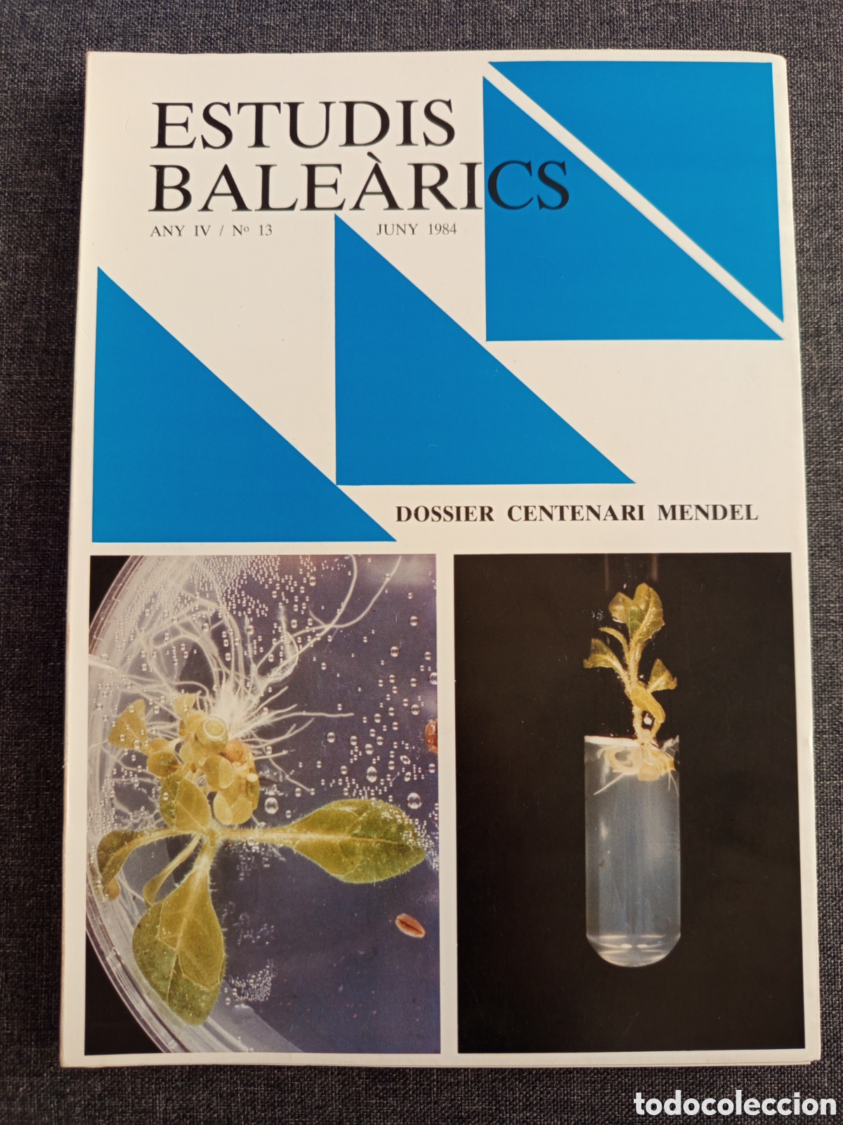 Libros de segunda mano: ESTUDIS BALEARICS N&deg; 13 (DOSSIER CENTENARI MENDEL) - Foto 1
