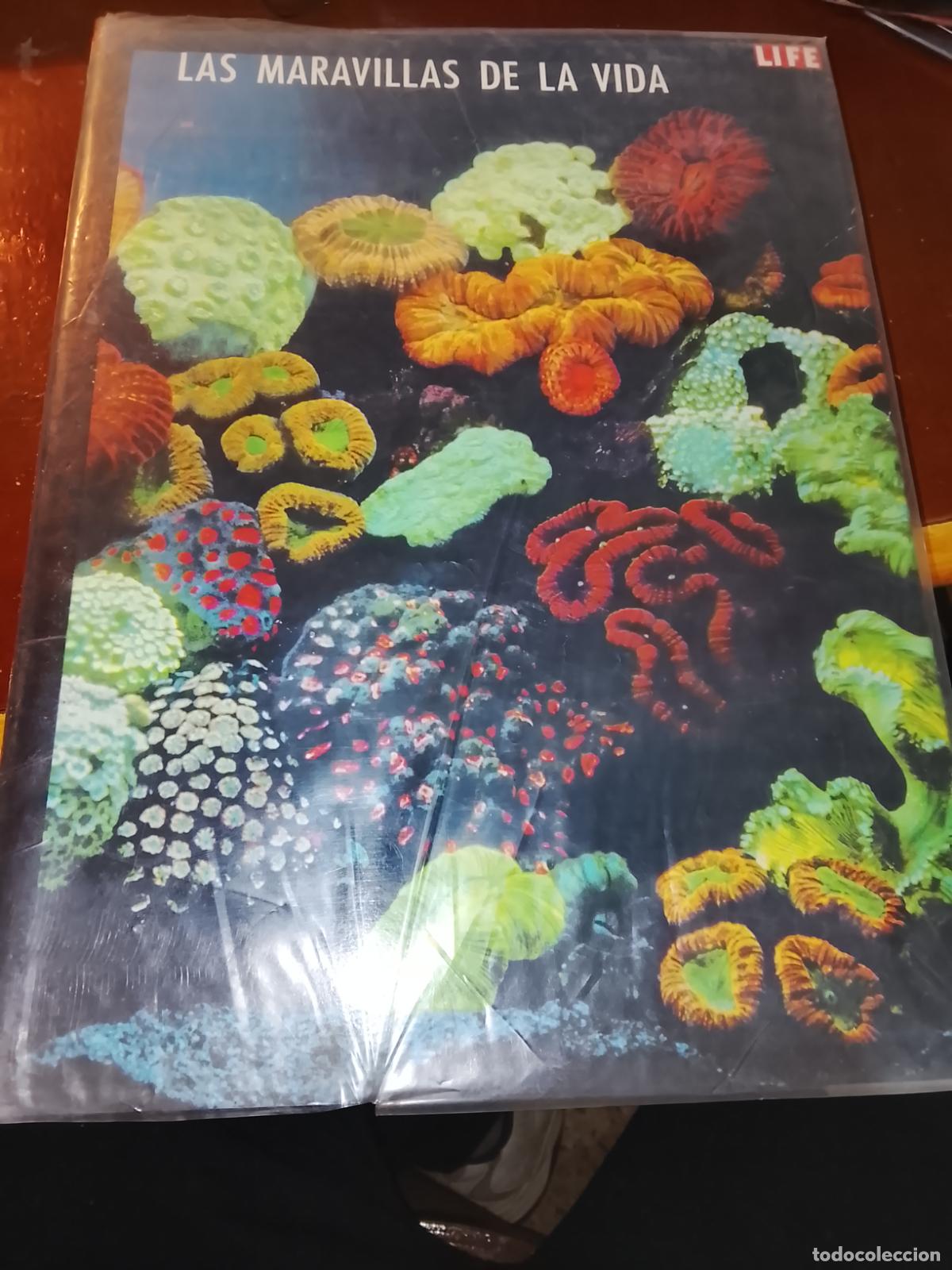 Libros de segunda mano: Las Maravillas de la Vida- Life-Editorial Luis Miracle- 3&ordf;Edicion