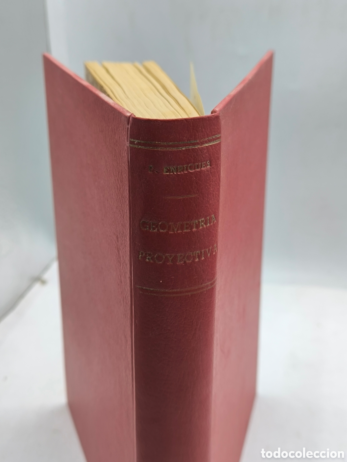 Libros de segunda mano de ciencias: Geometr&iacute;a proyectiva. F. Enr&iacute;ques - Foto 2