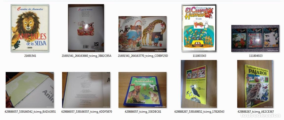 Second hand books: LIBROS INFANTILES DE NATURALEZA - LOTE VARIADO.