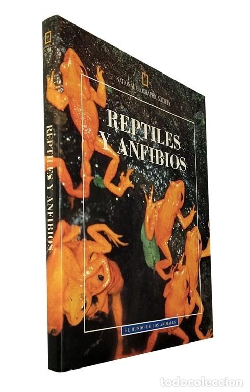 Libri di seconda mano: REPTILES Y ANFIBIOS. NATIONAL SERPIENTES. TORTUGA. LAGARTOS. NATIONAL GEOGRAPHIC. RBA.