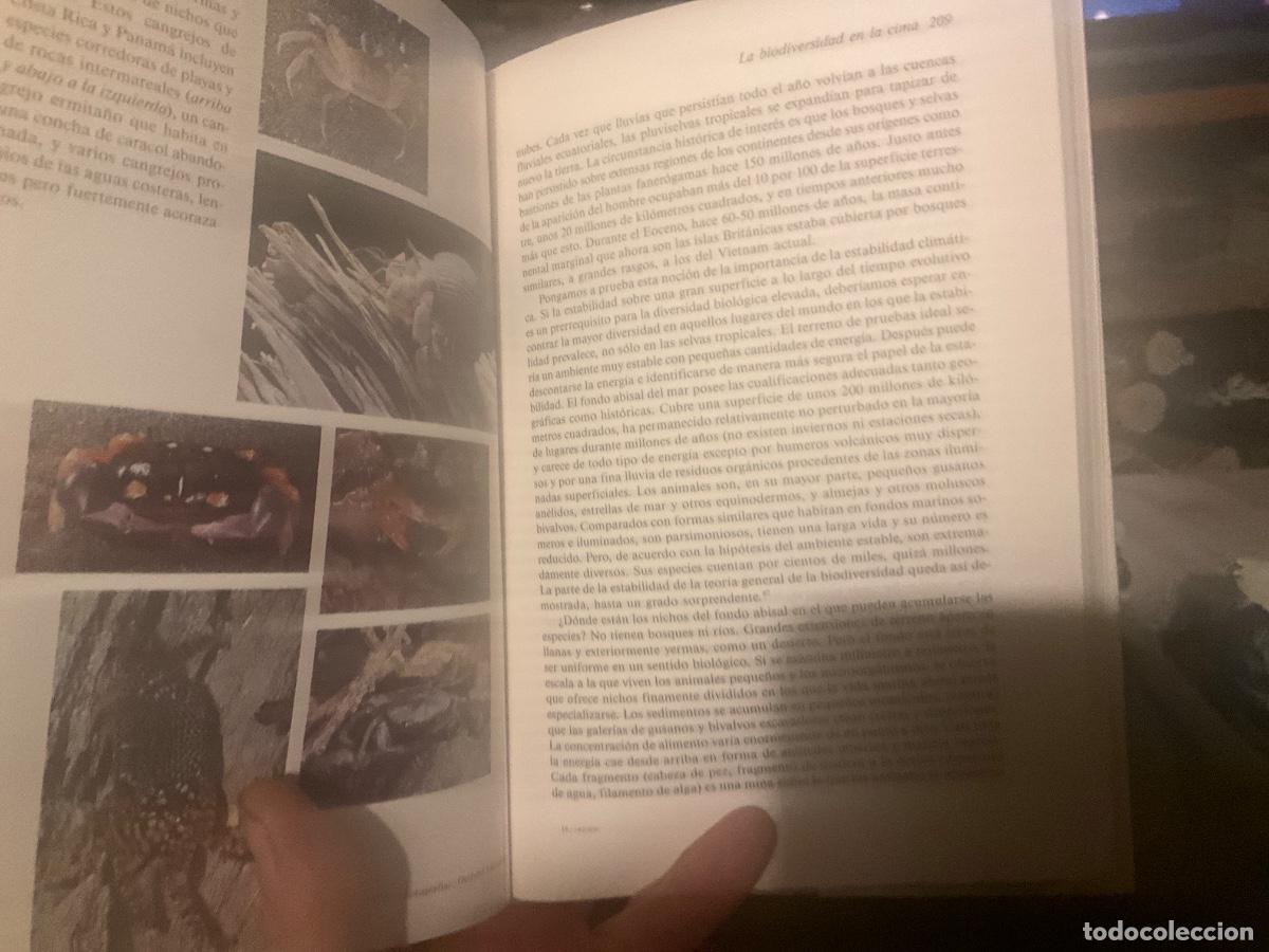 Libros de segunda mano: Edward O. Wilson - La diversidad de la vida Critica - Foto 2