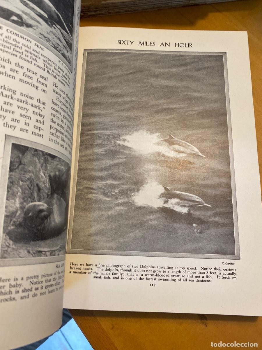 Libros de segunda mano: NEWNES PICTORIAL KNOWLEDGE VOLUME 1 1967 - Foto 4