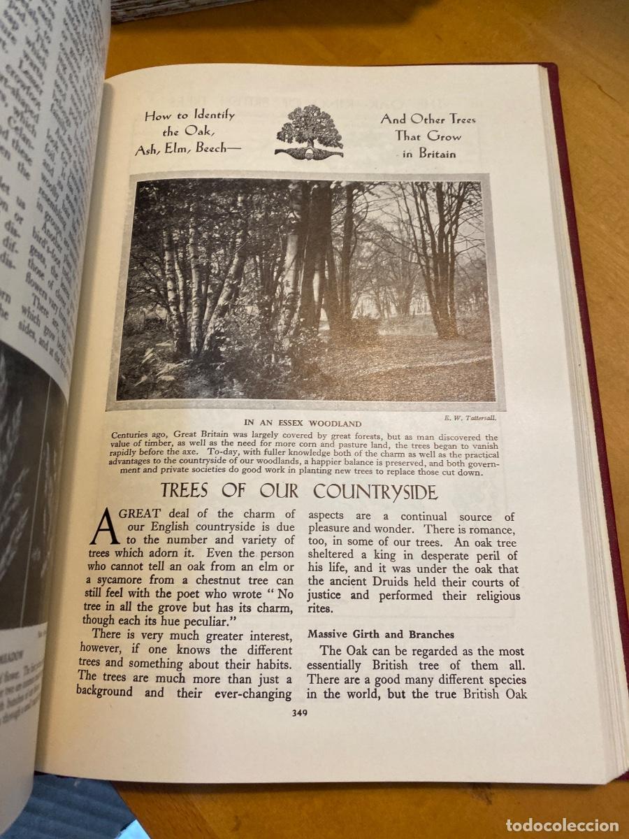 Libros de segunda mano: NEWNES PICTORIAL KNOWLEDGE VOLUME 1 1967 - Foto 5