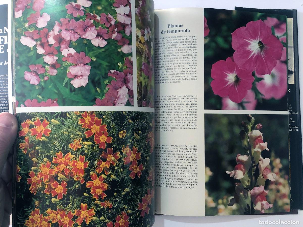 Libros de segunda mano: FLORES DE JARDIN / JACQUELINE SEYMOUR / - Foto 4