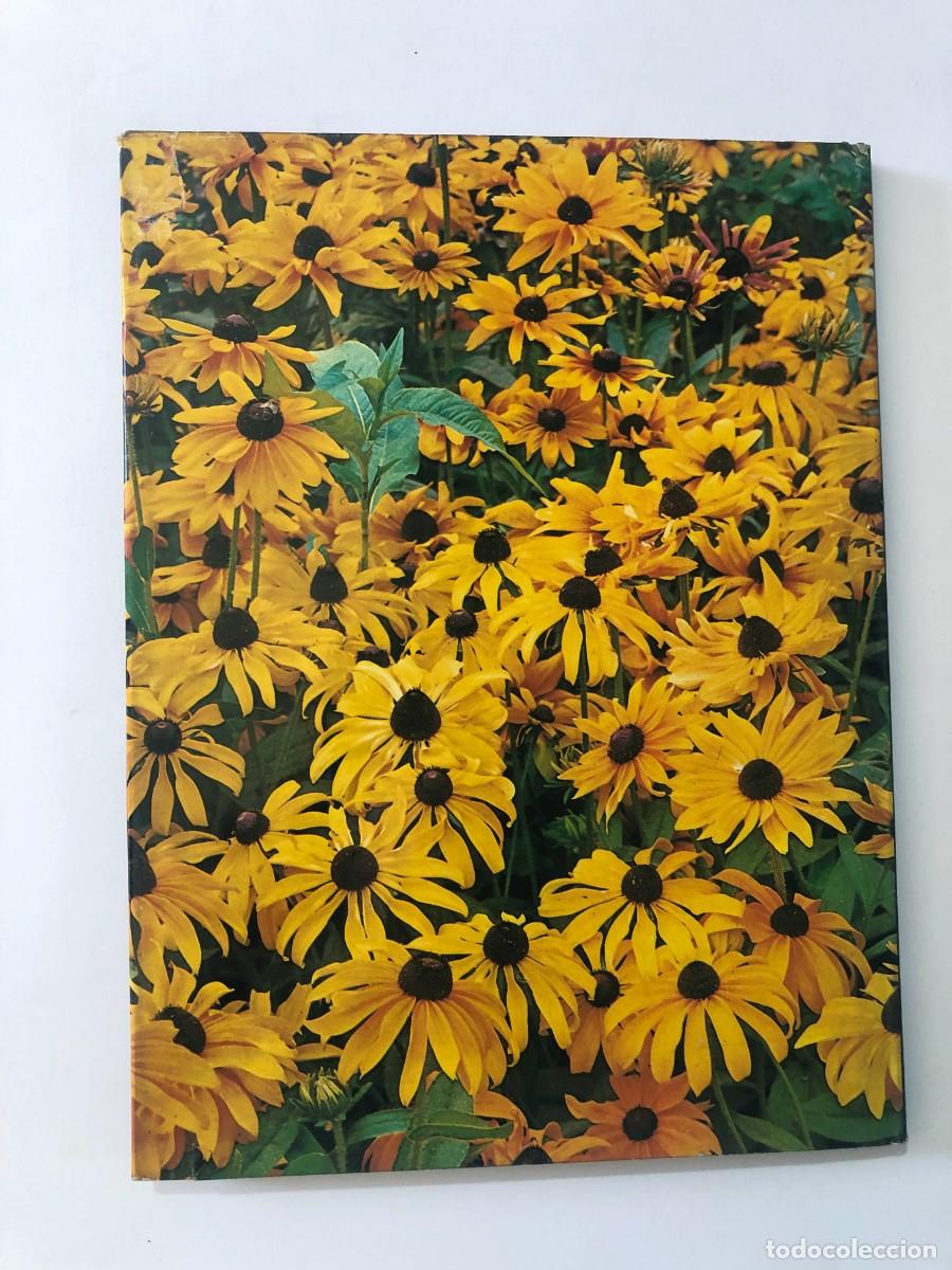 Libros de segunda mano: FLORES DE JARDIN / JACQUELINE SEYMOUR / - Foto 5