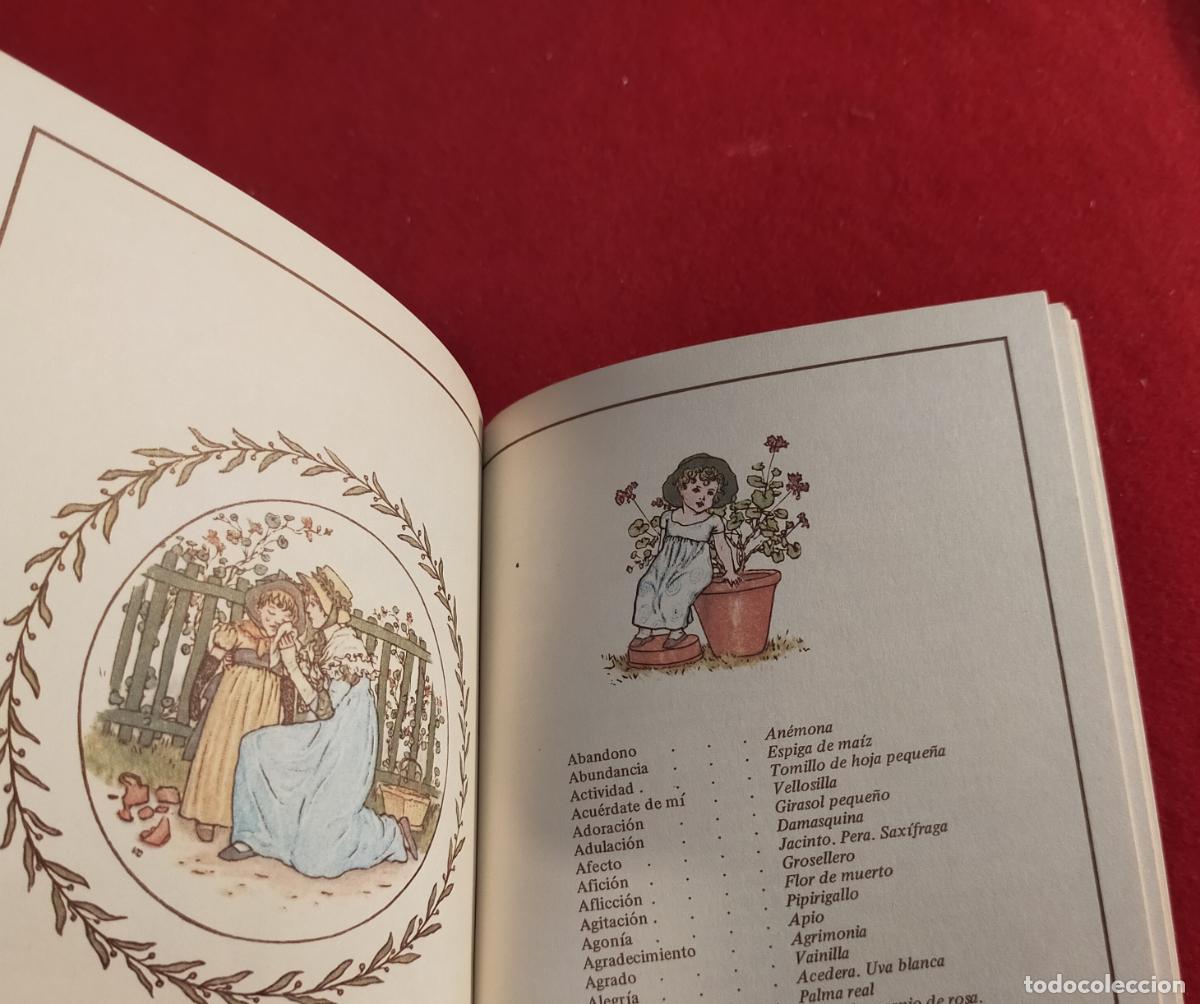 Libros de segunda mano: EL LENGUAJE DE LAS FLORES - KATE GREENAWAY - Foto 2