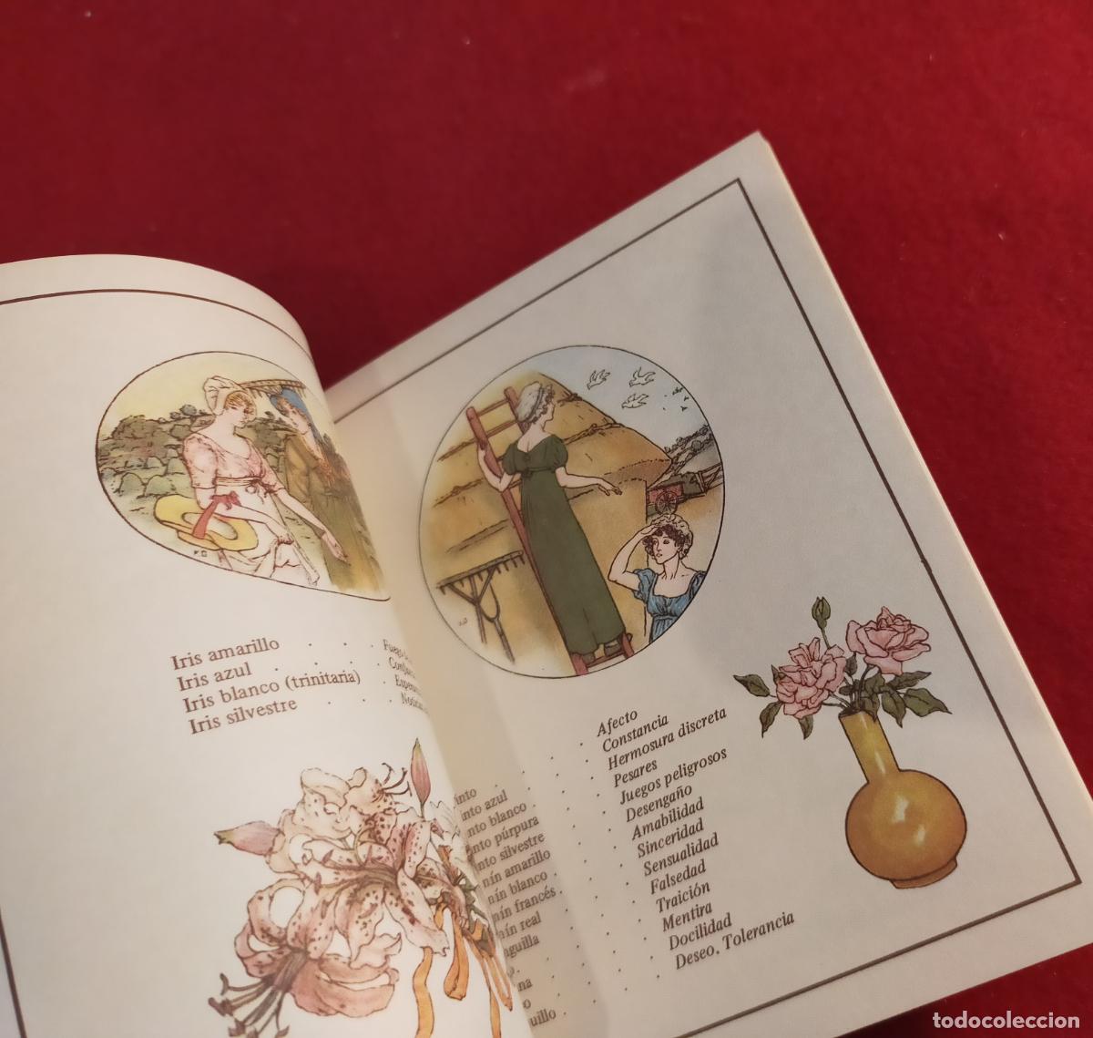 Libros de segunda mano: EL LENGUAJE DE LAS FLORES - KATE GREENAWAY - Foto 3