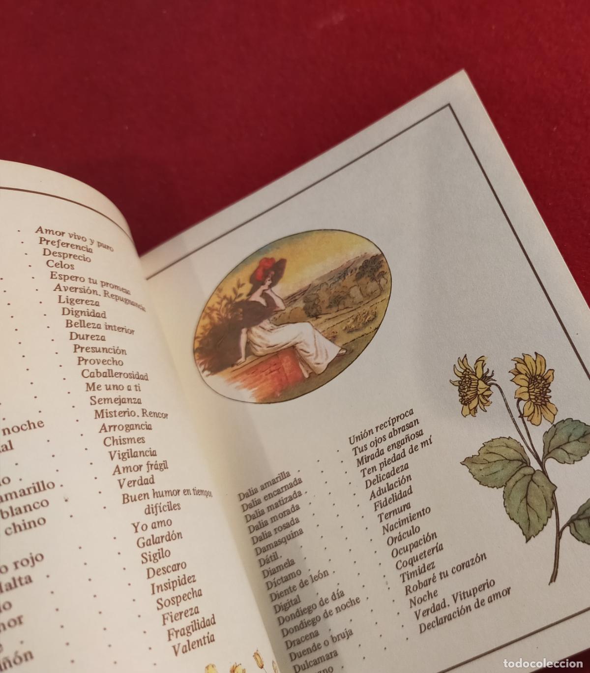 Libros de segunda mano: EL LENGUAJE DE LAS FLORES - KATE GREENAWAY - Foto 4