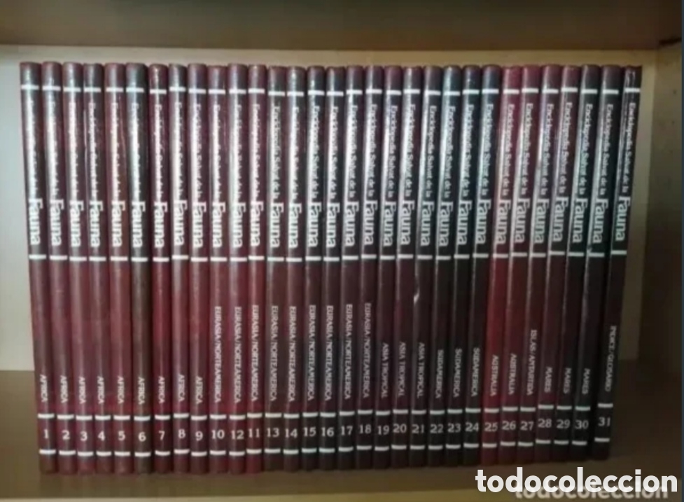 Libros de segunda mano: FAUNA, Felix Rodriguez de la fuente. Completa - Foto 9