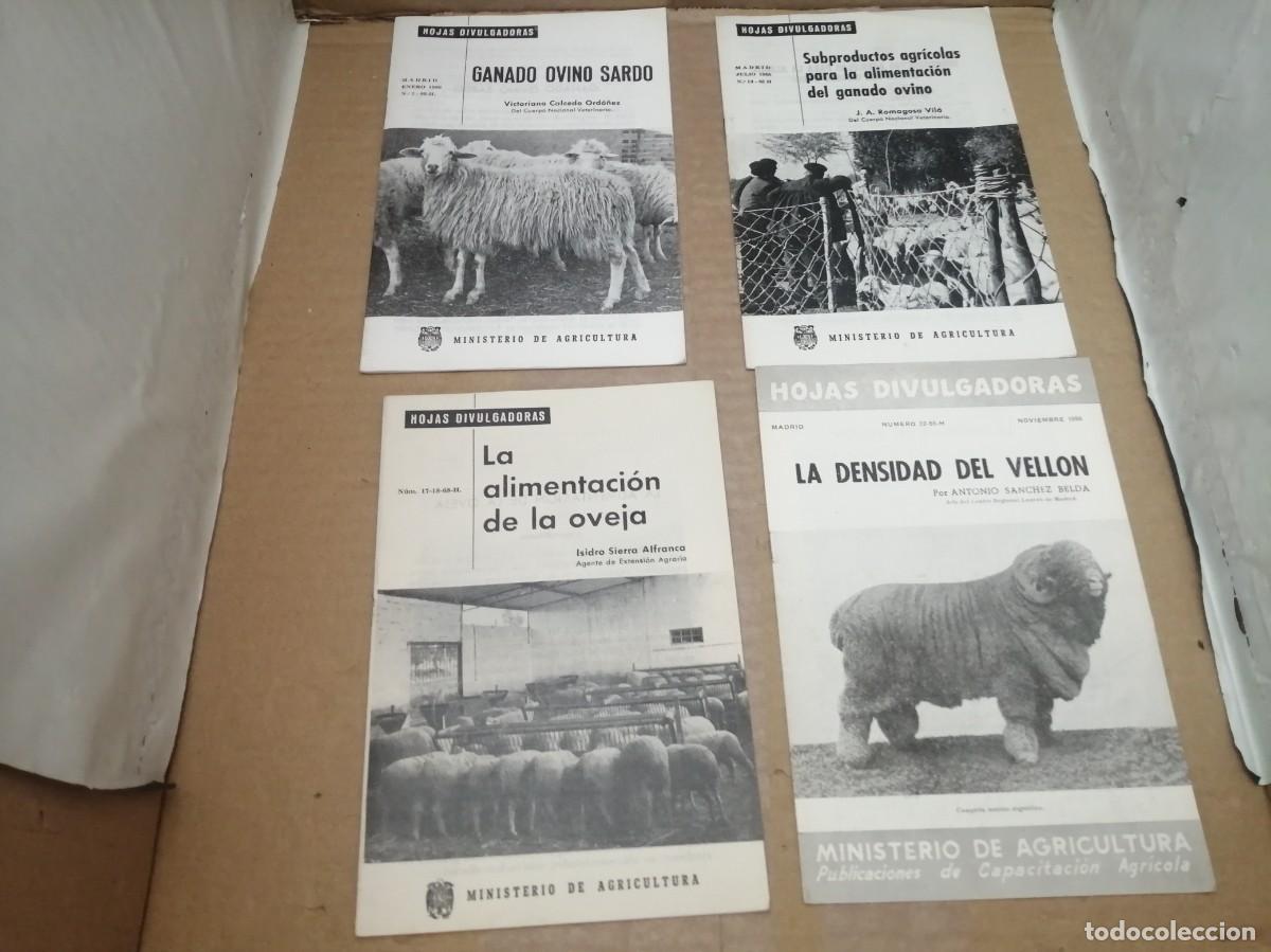 Second hand books: PACK 4 Hojas Divulgativas Ganado Ovino: La alimentaci&oacute;n de la oveja / Y 3 M&Aacute;S...