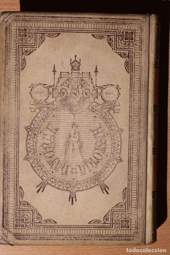 Libros de segunda mano: Historia natural. Antropolog&iacute;a. Pablo Topinard.