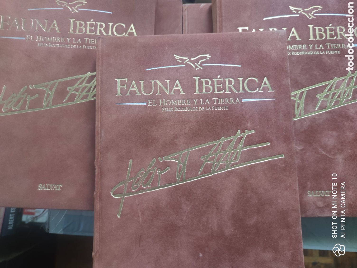 Libros de segunda mano: 5 Libros de F&eacute;lix Rodr&iacute;guez De La Fuente. Fauna Ib&eacute;rica. El hombre y la tierra. Salvat. Tapa Dura.
