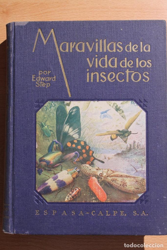 Libros de segunda mano: Maravillas de la vida de los insectos. Edward Step. Espasa Calpe. 1940 Segunda edici&oacute;n.