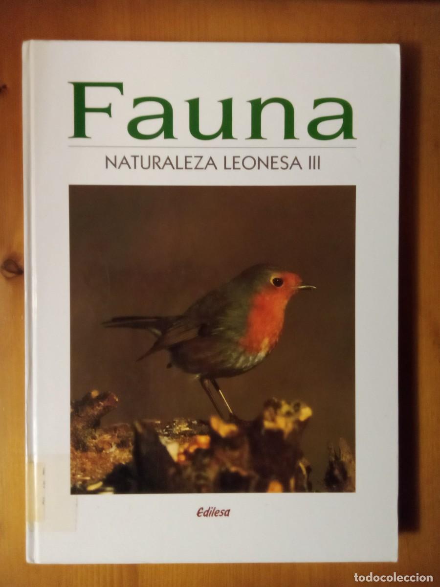Libros de segunda mano: FAUNA, NATURALEZA LEONESA III, EDILESA - Foto 1