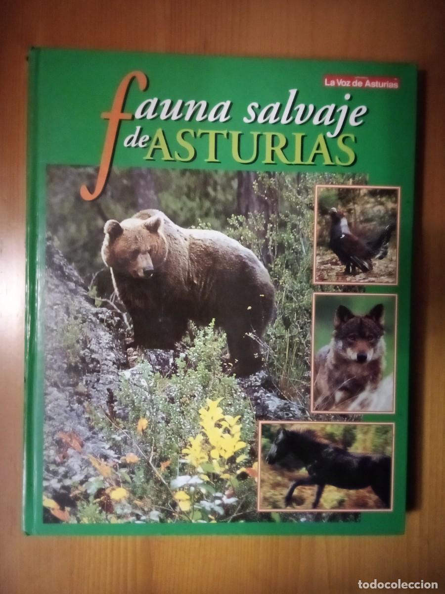 Libros de segunda mano: FAUNA SALVAJE DE ASTURIAS - Foto 1