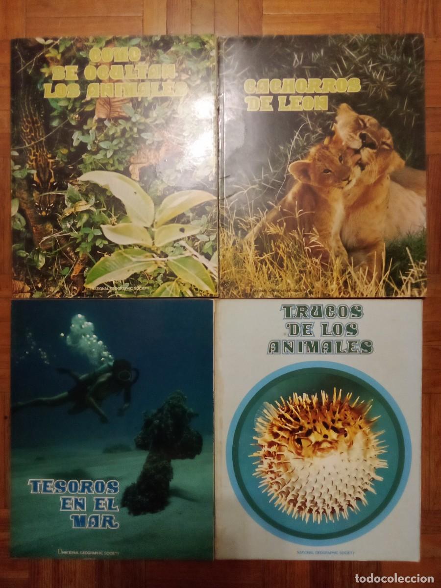 Libros de segunda mano: COMO SE OCULTAN LOS ANIMALES, CACHORROS LEON, TESOROS EN EL MAR, TRUCOS, NATIONAL GEOGRAPHIC NAUTA
