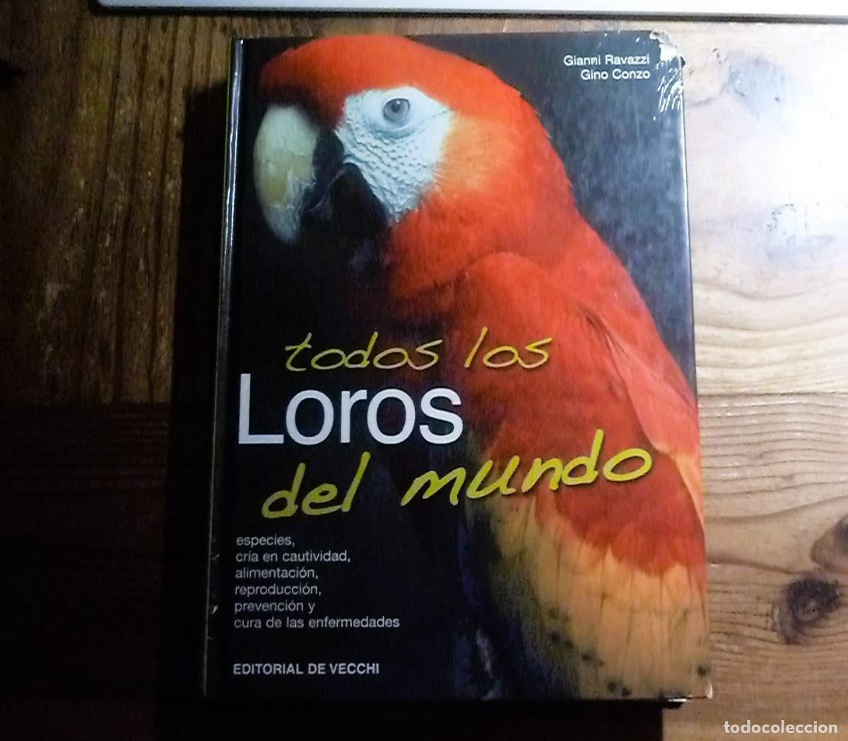 Libros de segunda mano: Todos los Loros del Mundo. Ravazzi, Conzo. - Foto 1