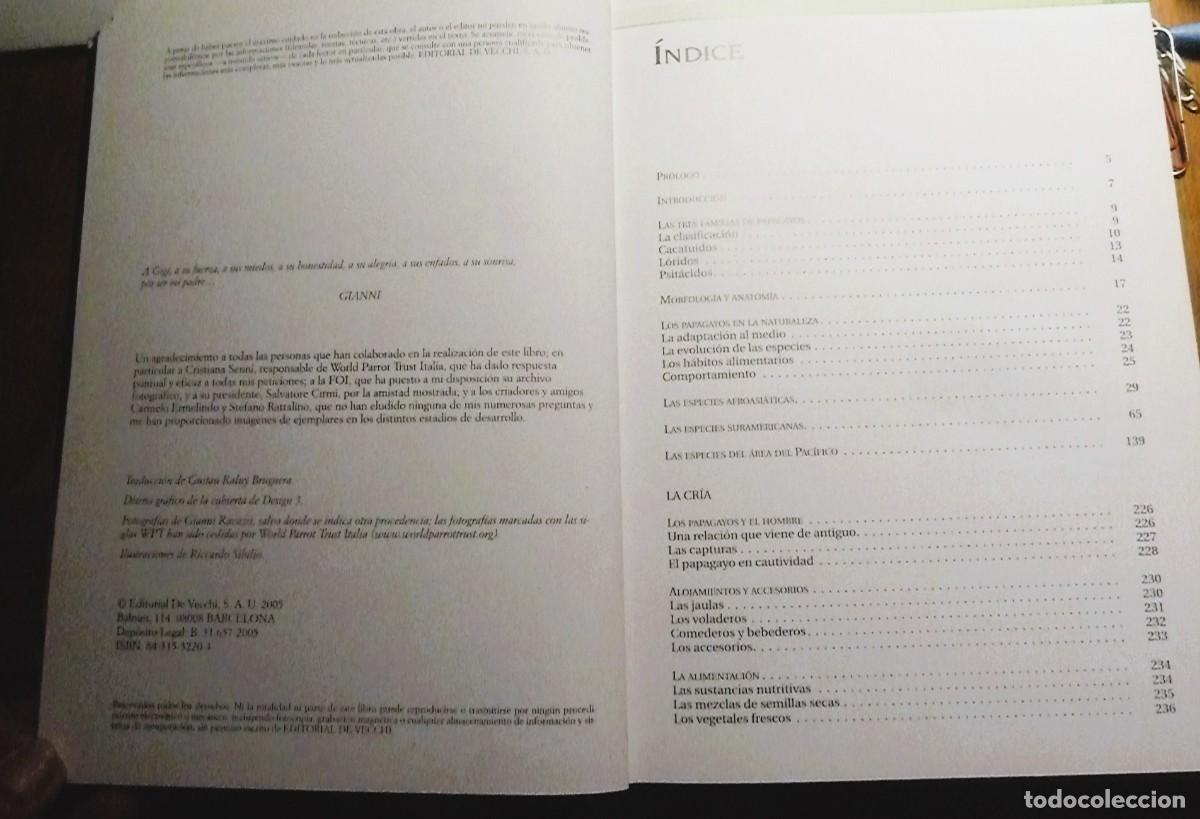 Libros de segunda mano: Todos los Loros del Mundo. Ravazzi, Conzo. - Foto 3