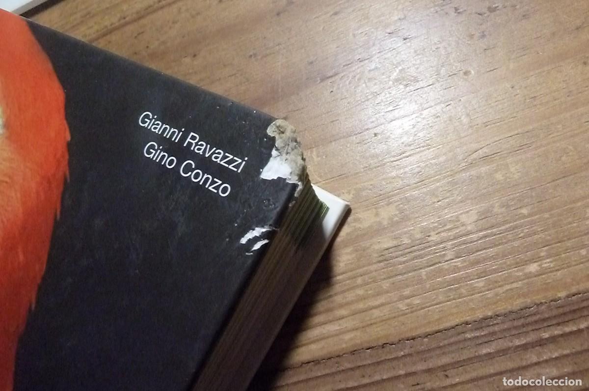 Libros de segunda mano: Todos los Loros del Mundo. Ravazzi, Conzo. - Foto 4