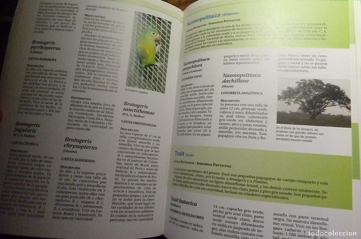 Libros de segunda mano: Todos los Loros del Mundo. Ravazzi, Conzo. - Foto 6
