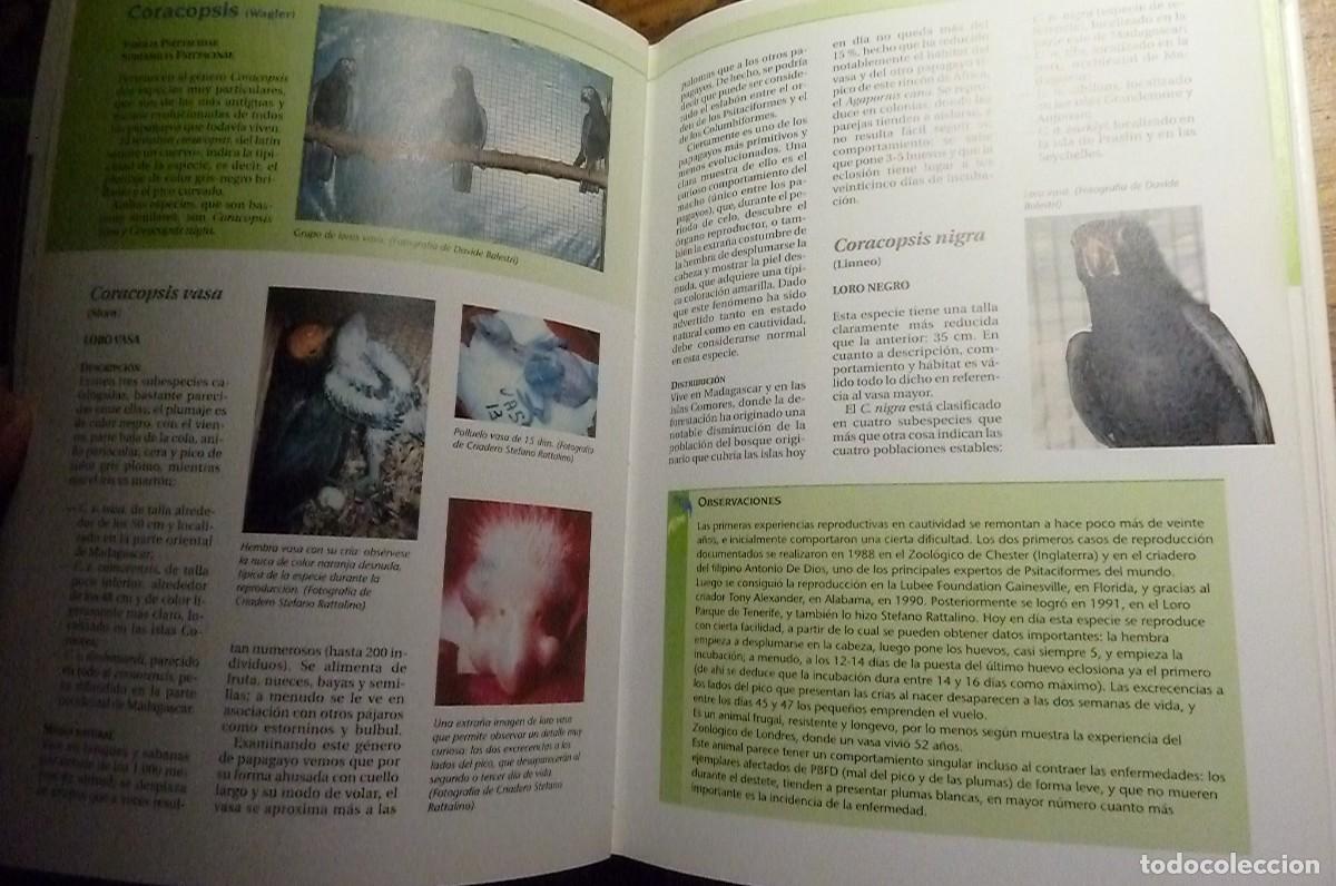 Libros de segunda mano: Todos los Loros del Mundo. Ravazzi, Conzo. - Foto 8