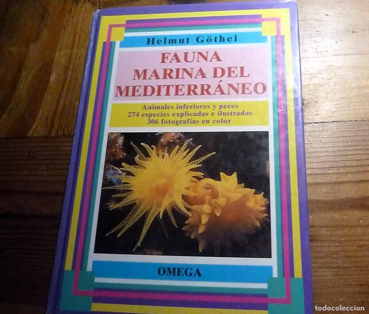 Libros de segunda mano: Fauna Marina del Mediterr&aacute;neo. Helmut G&ouml;thel - Foto 1