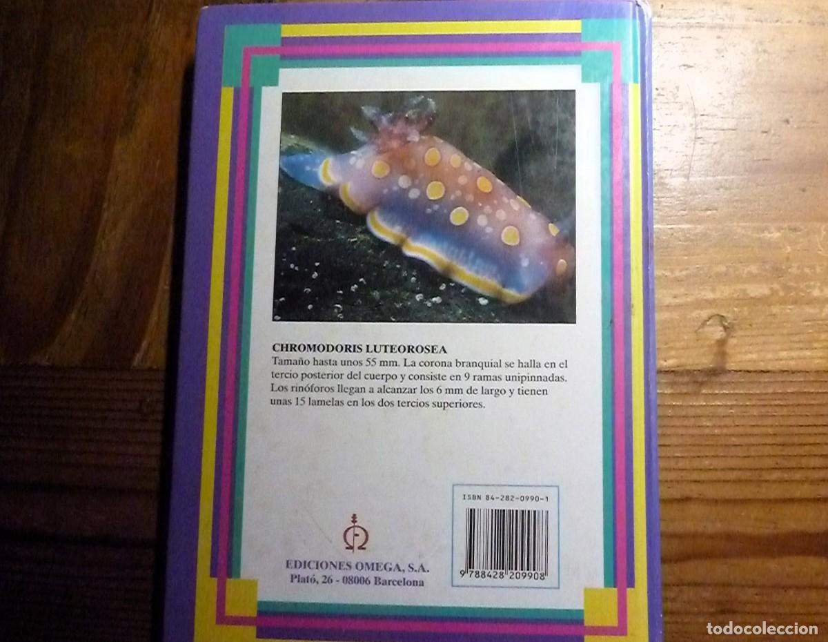 Libros de segunda mano: Fauna Marina del Mediterr&aacute;neo. Helmut G&ouml;thel - Foto 2