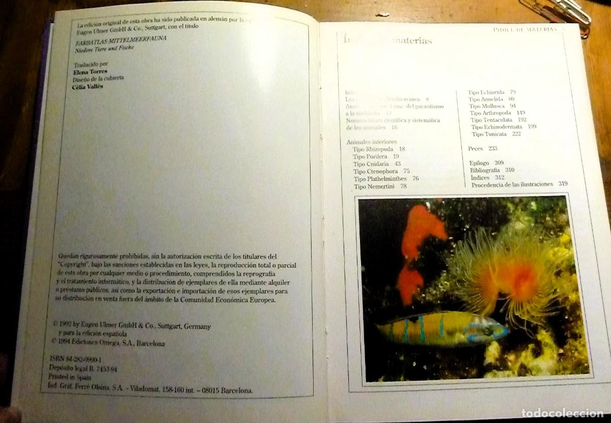Libros de segunda mano: Fauna Marina del Mediterr&aacute;neo. Helmut G&ouml;thel - Foto 3