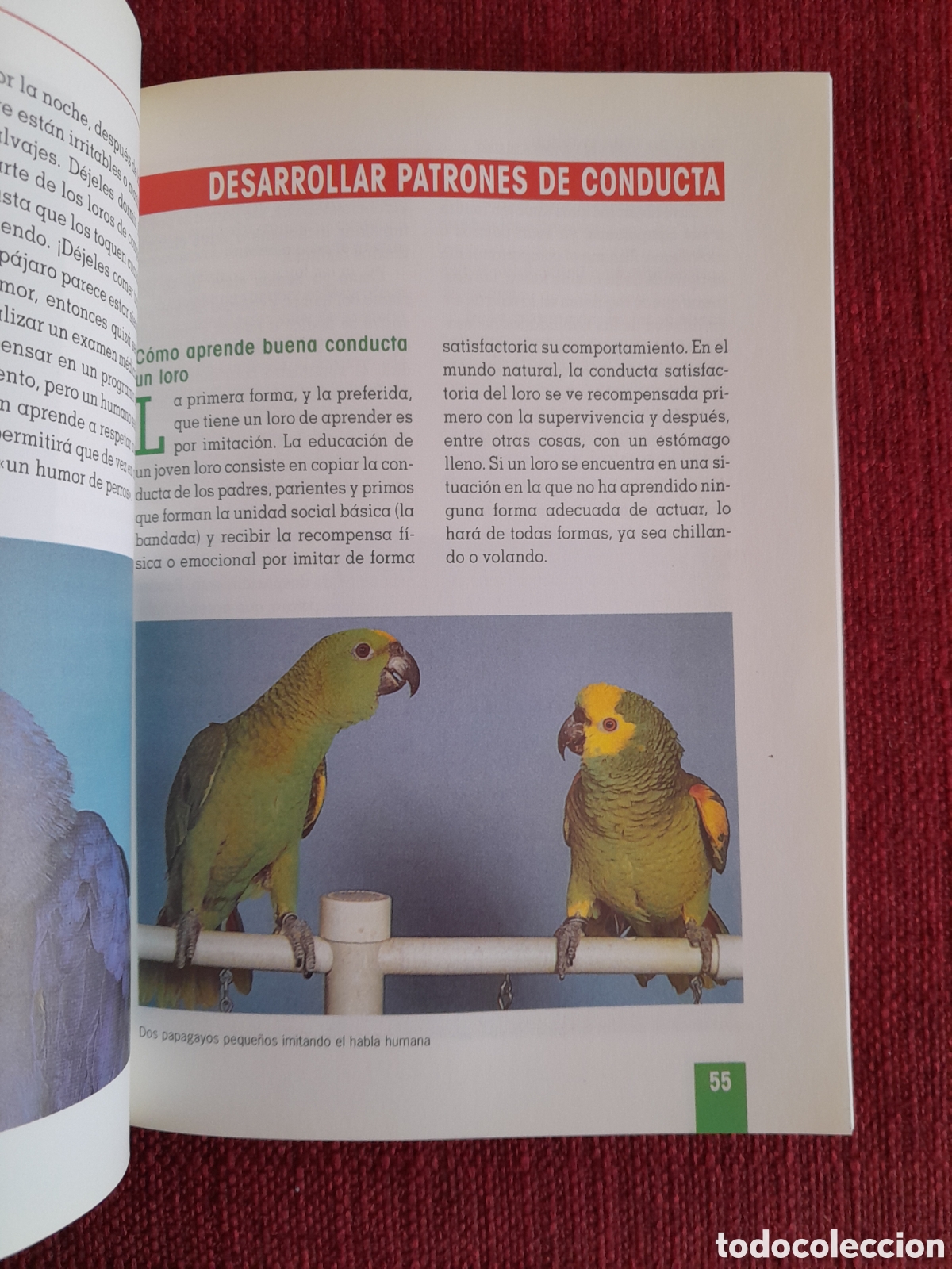 Libros de segunda mano: -Como Educar A Su Loro. - Foto 3