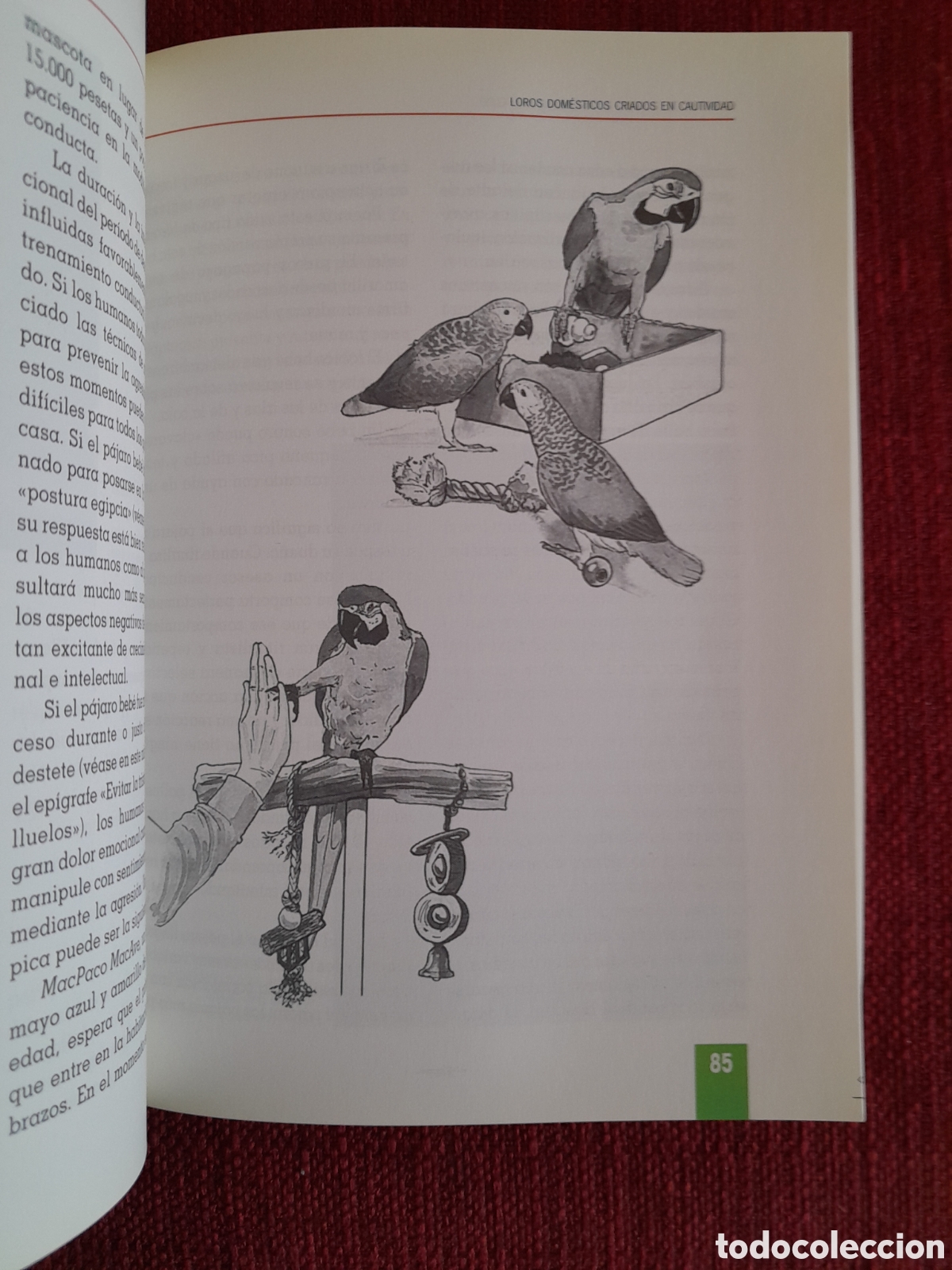 Libros de segunda mano: -Como Educar A Su Loro. - Foto 4